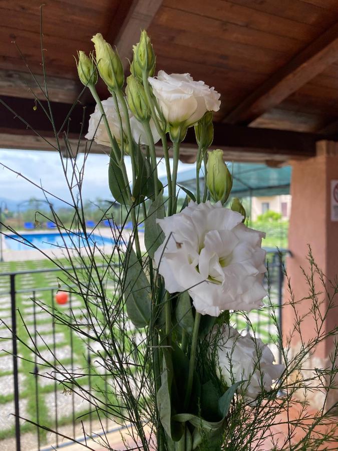 La Fattoria Di Carlotta Villa Maenza Kültér fotó